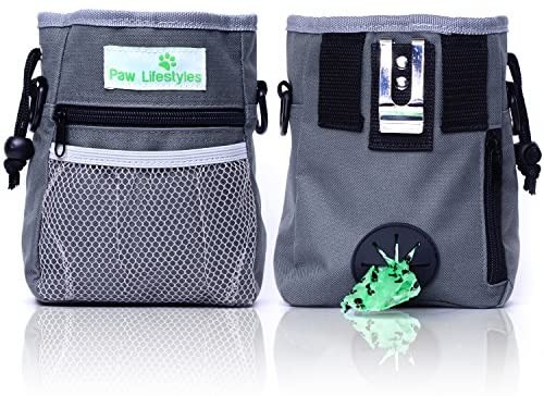 Dog Treat Training Bag
