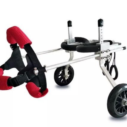 Silla de ruedas S