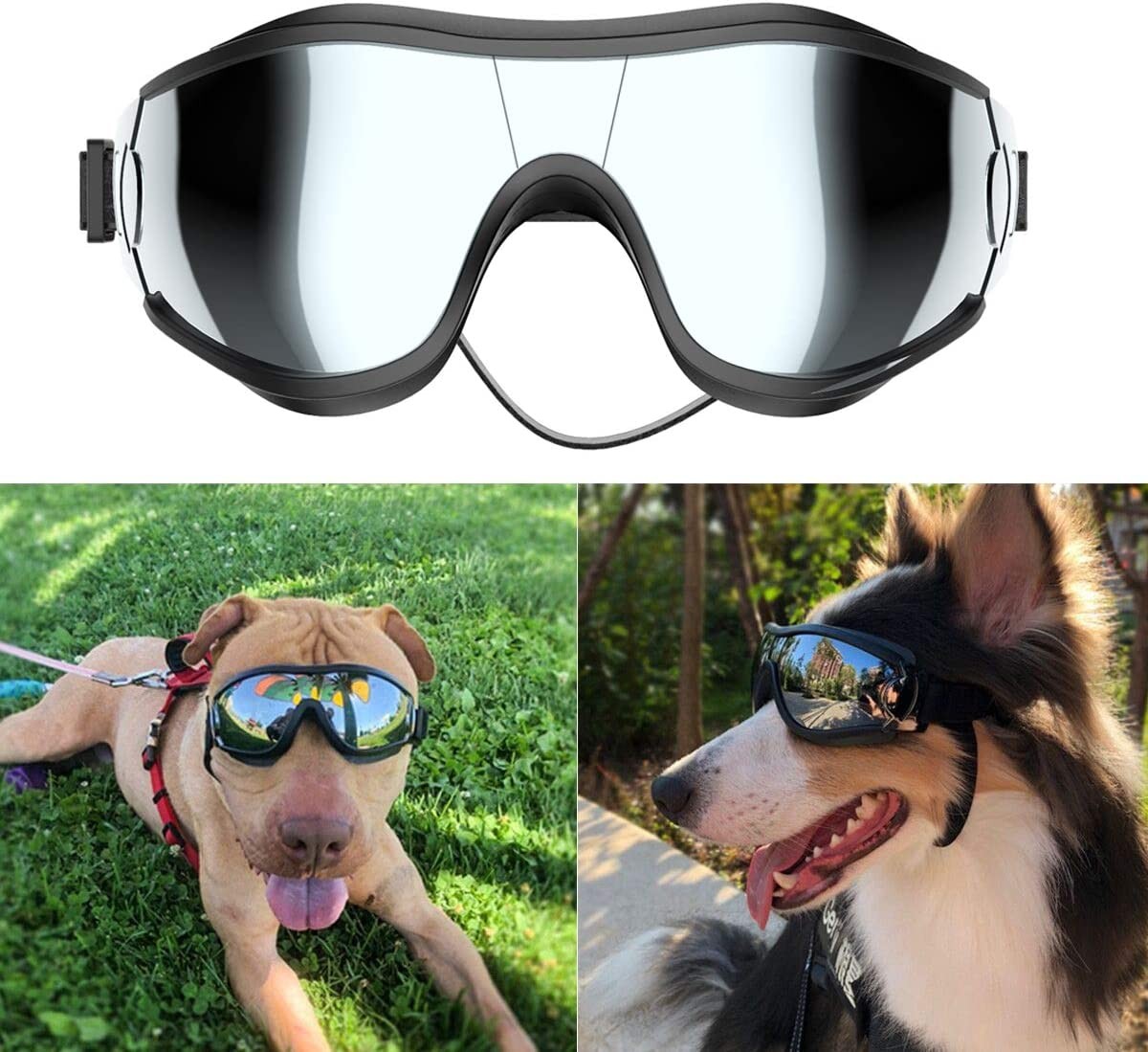 Lentes para perros - Dog Goggles