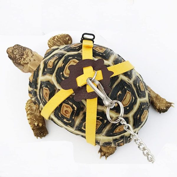 Correa de arnés de cuero para tortuga, tortuga, mascota, control de plomo, collar de pecho (M)