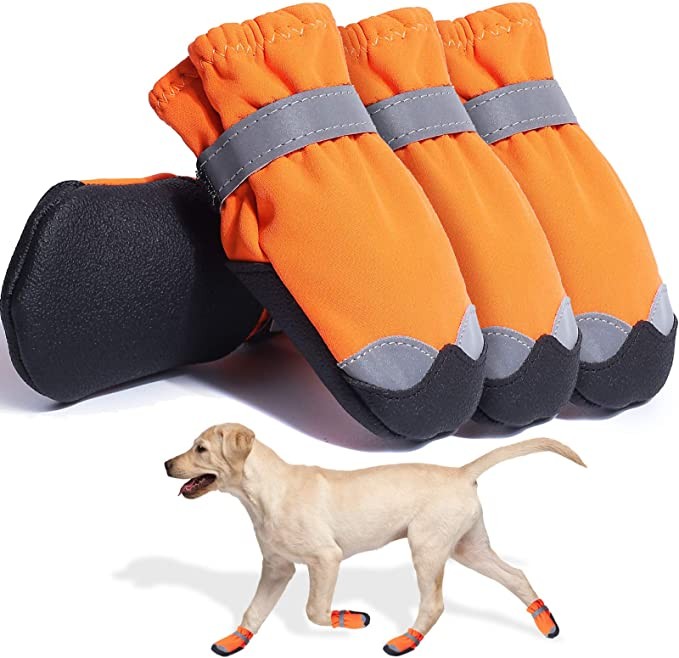 Botas y protectores de patas para perros Talla 6