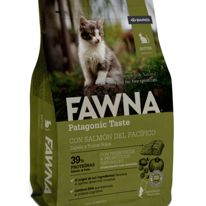 Fawna Gatitos Salmón
