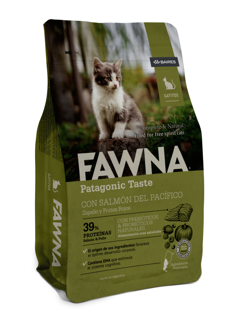 Fawna Gatitos Salmón