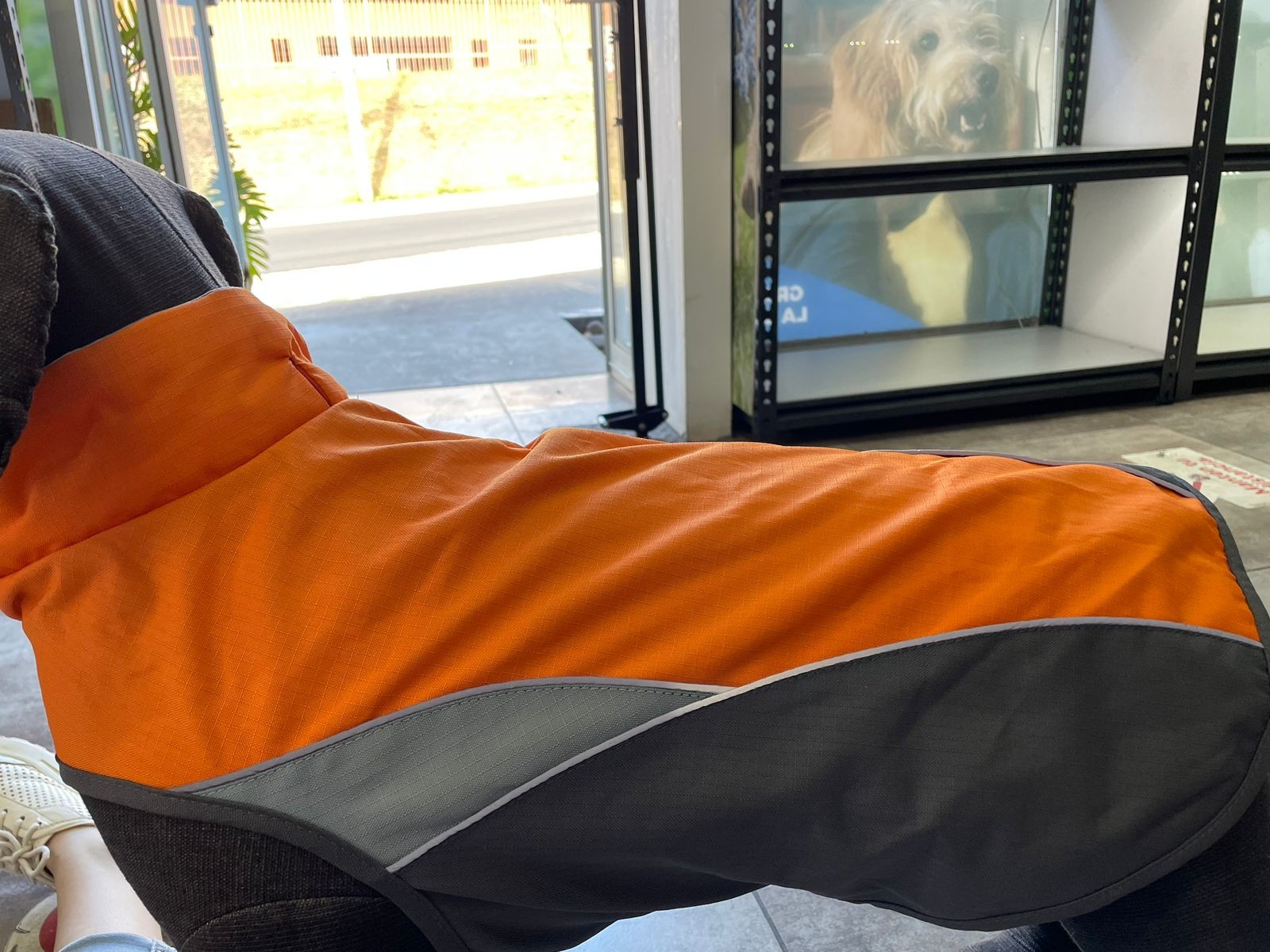 Chaleco naranja XL