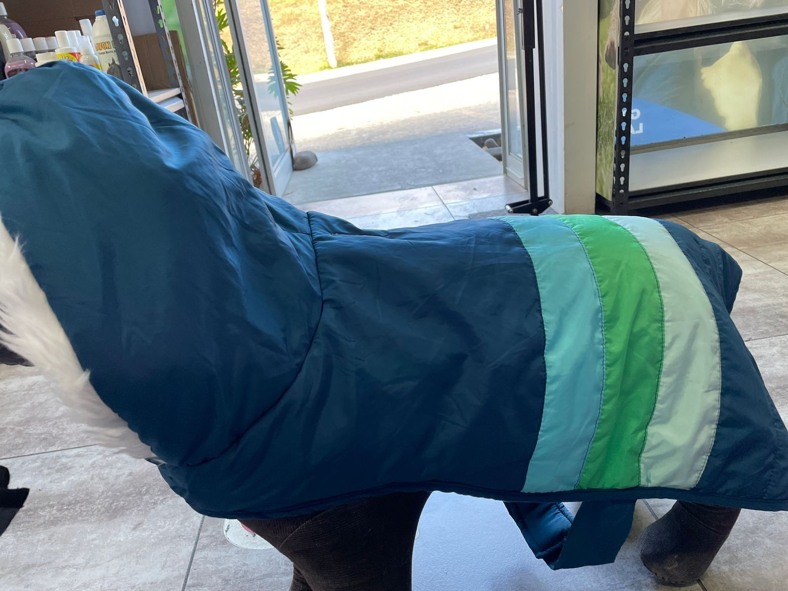 Chaleco azul con verde XL