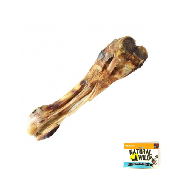 Tibia italiana de Cerdo Natural Wild - Large