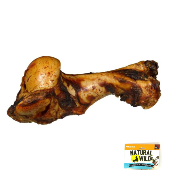 Hueso de Mamut Natural Wild - XL