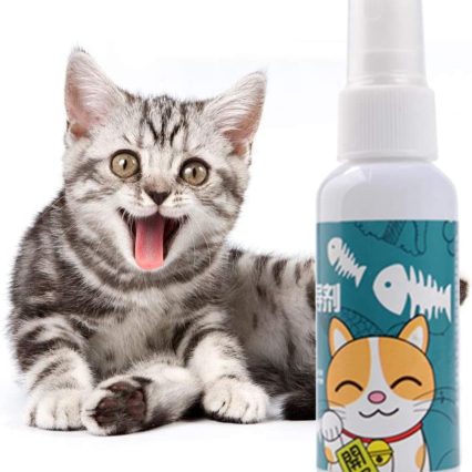 Catnip 100% orgánico para gatos 50 ml