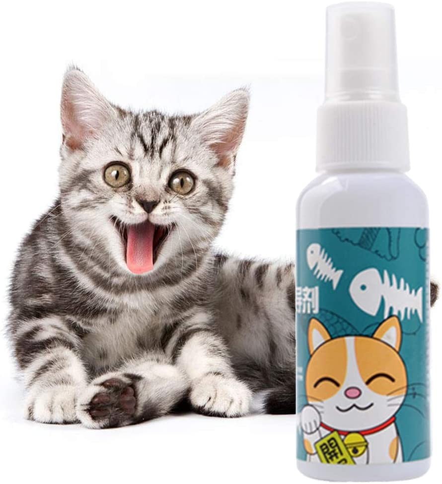 Catnip 100% orgánico para gatos 50 ml