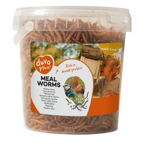 Duvo plus - Gusano de Harina 200 Gr