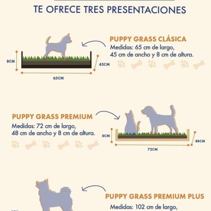 Puppy Grass Boxi Repuesto