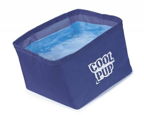 Bebedero de Gel Frio Portable 2.4L