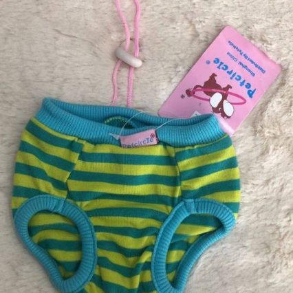 Calzón para perrita pequeña Small Celeste con verde