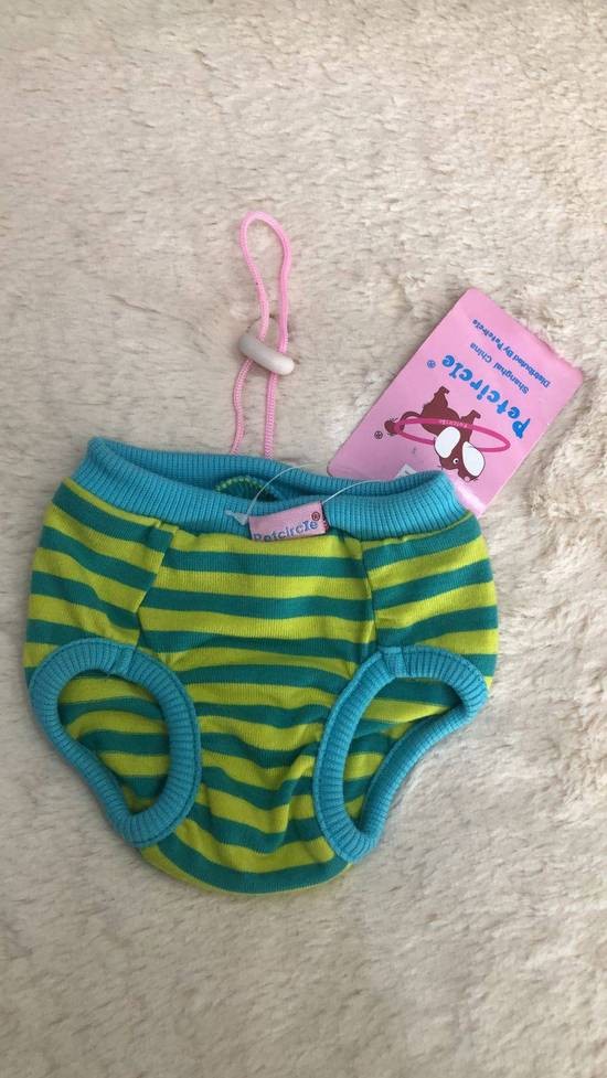 Calzón para perrita pequeña Small Celeste con verde