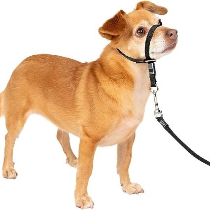 Collar suave de conducción con DVD de entrenamiento PetSafe, Negro