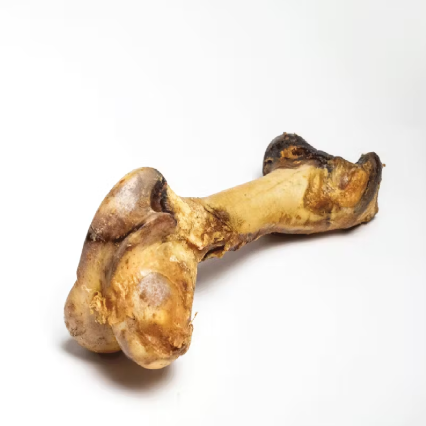 Pets Giant Beef Femur Bone (grande)