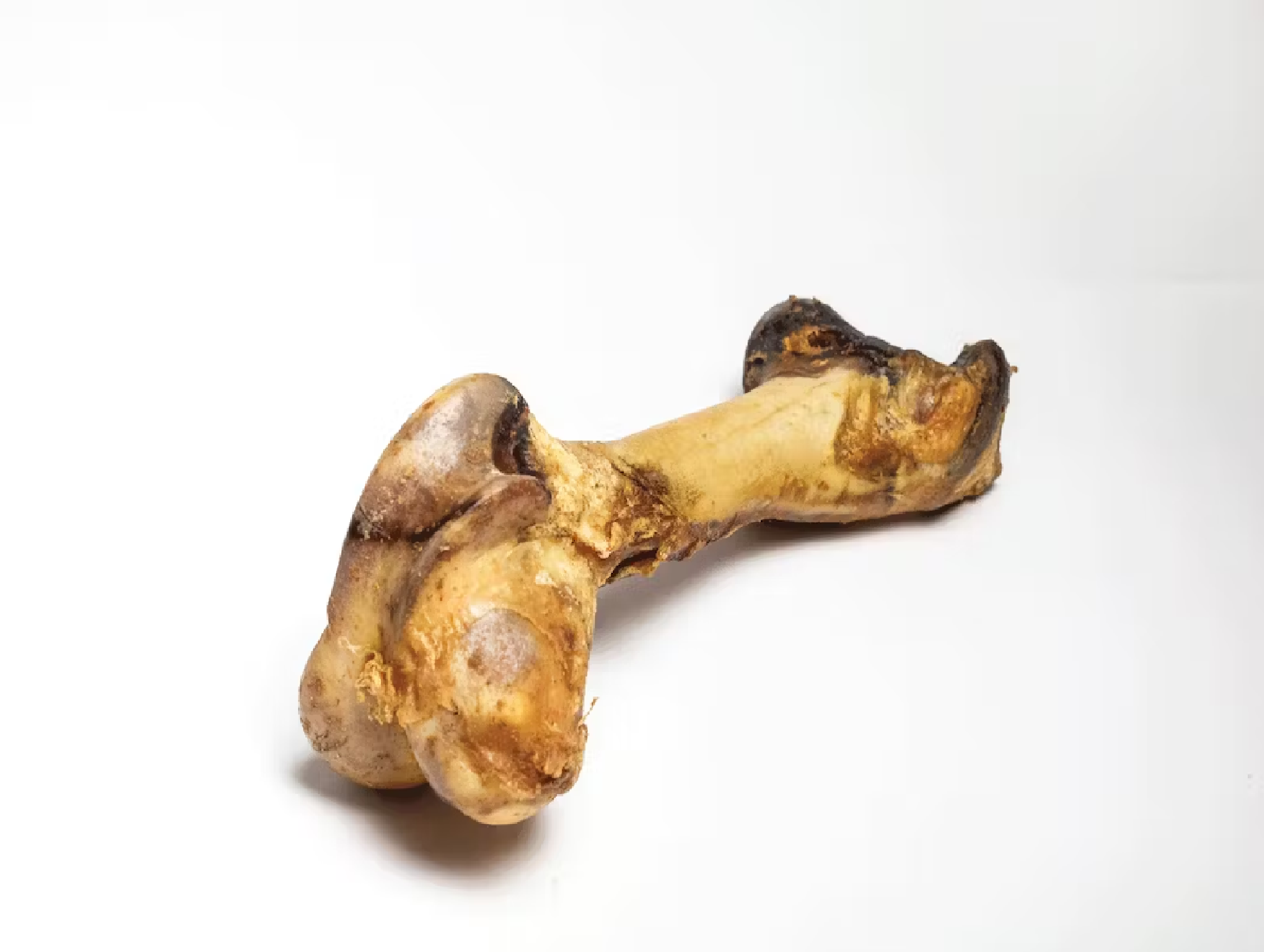 Pets Giant Beef Femur Bone (grande)