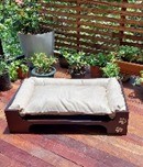 Cama Elegance Bed Vet Pet pequeña