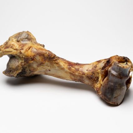 Hueso de Mamut Masqpets