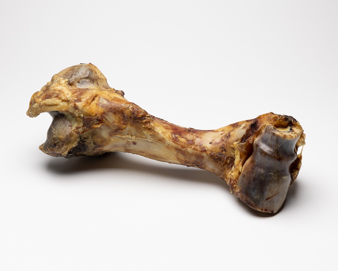 Hueso de Mamut Masqpets
