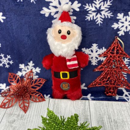 Santa Claus