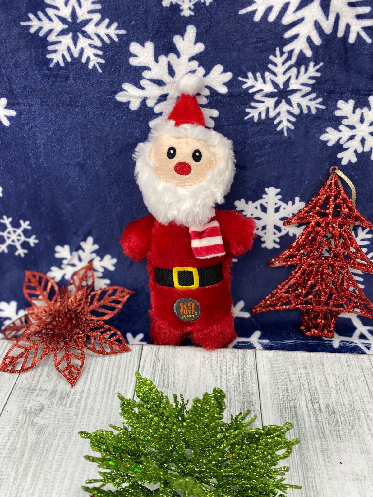 Santa Claus
