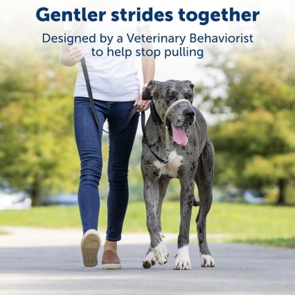 Gentle leader collar Petsafe Large