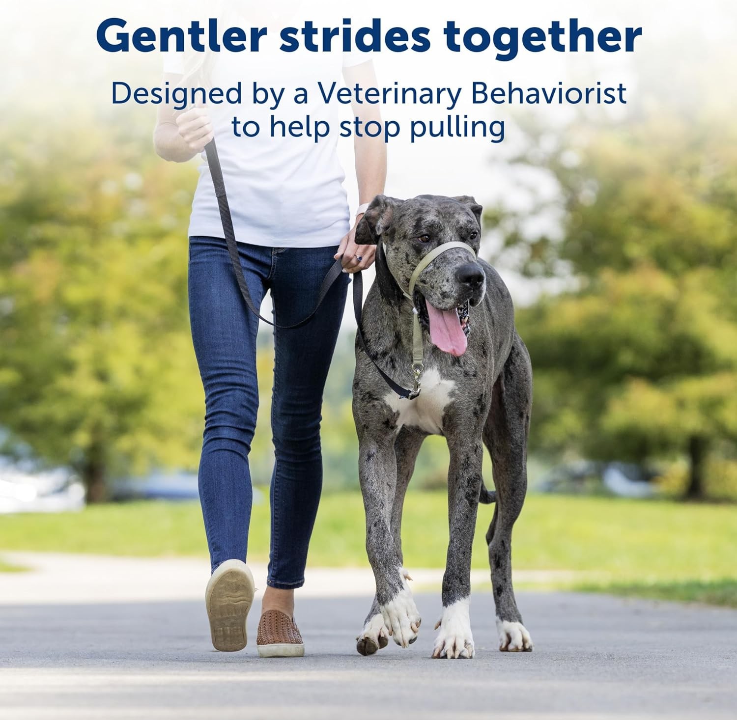 Gentle leader collar Petsafe Large
