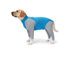 Camisa Post Quirurgica Con Patas Celeste Xxlarge