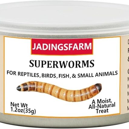 Super Gusanos Enlatados Para Reptiles