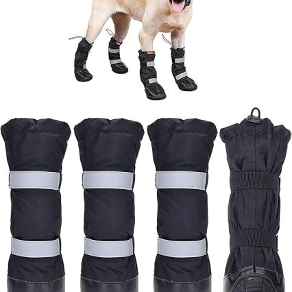 Botas de exterior para perros