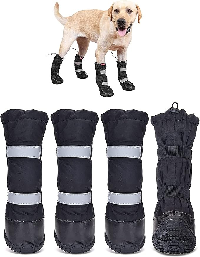 Botas de exterior para perros