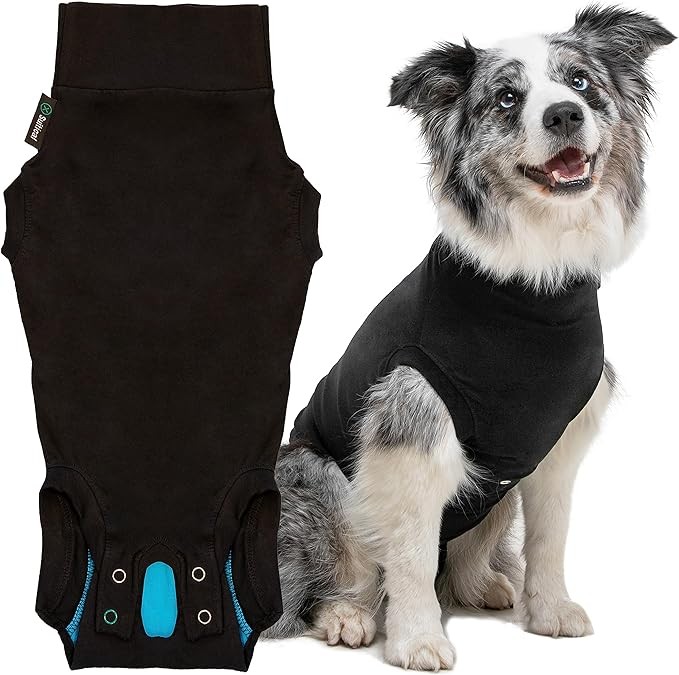Traje de recuperación Suitical para perros