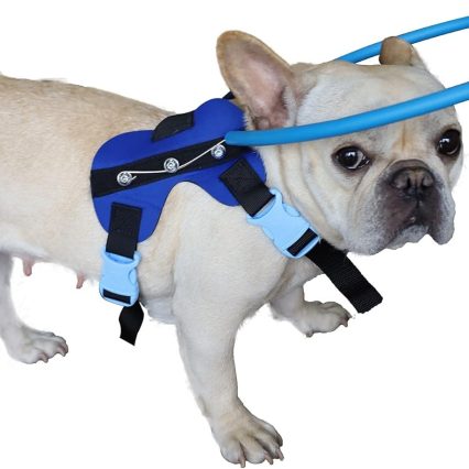 Dispositivo guía de arnés ciego para perro M