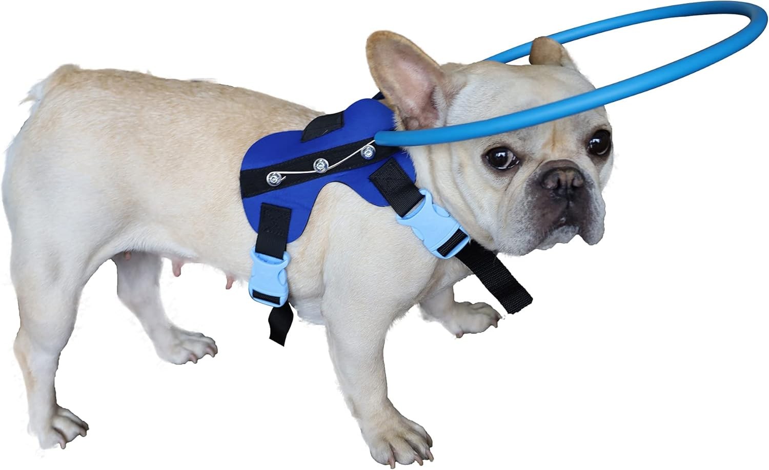 Dispositivo guía de arnés ciego para perro M