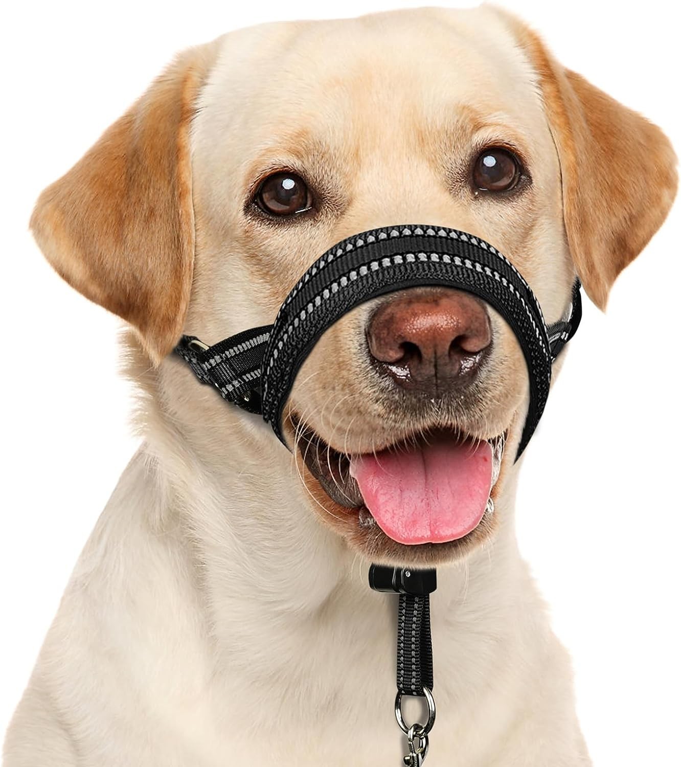 BARKLESS Collar suave para cabeza de perro XL