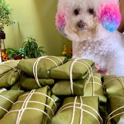 Piña de tamales para perro