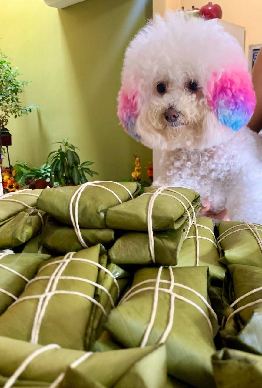 Piña de tamales para perro