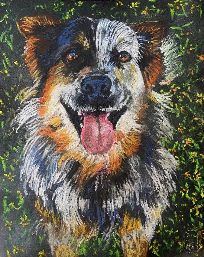 RETRATO PARA MASCOTA