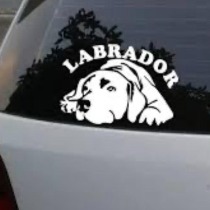 Calcomanías para automóvil y accesorios de mascotas