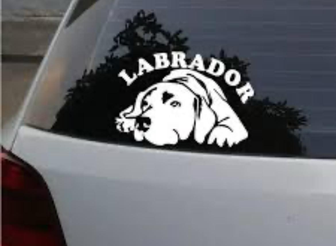 Calcomanías para automóvil y accesorios de mascotas
