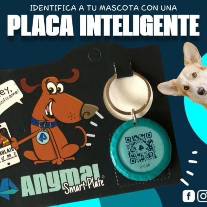 PLACA INTELIGENTE QR