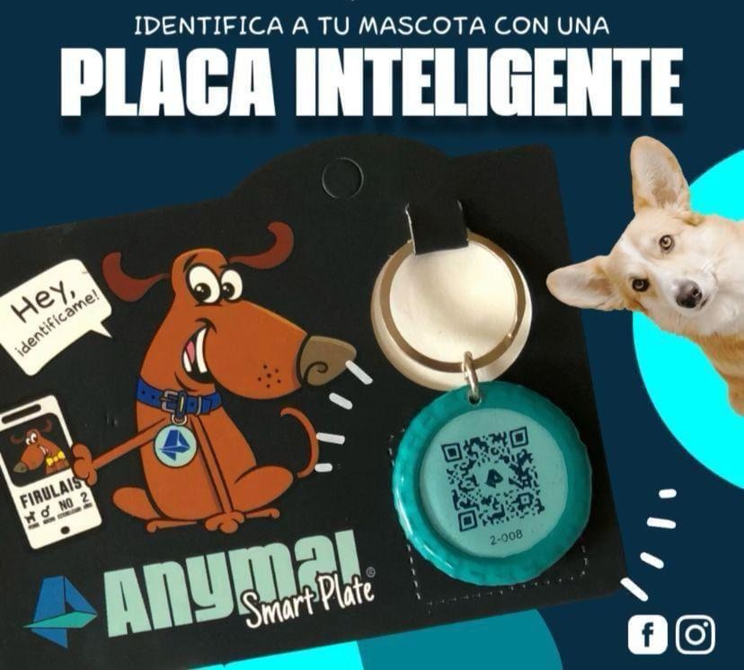 PLACA INTELIGENTE QR