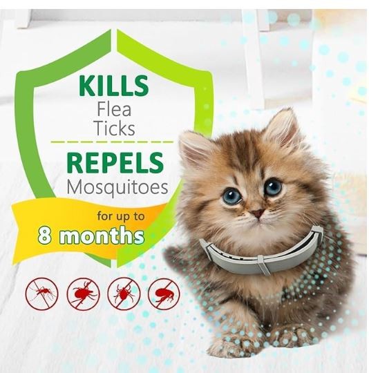 Collar antipulgas y garrapatas para Mascota