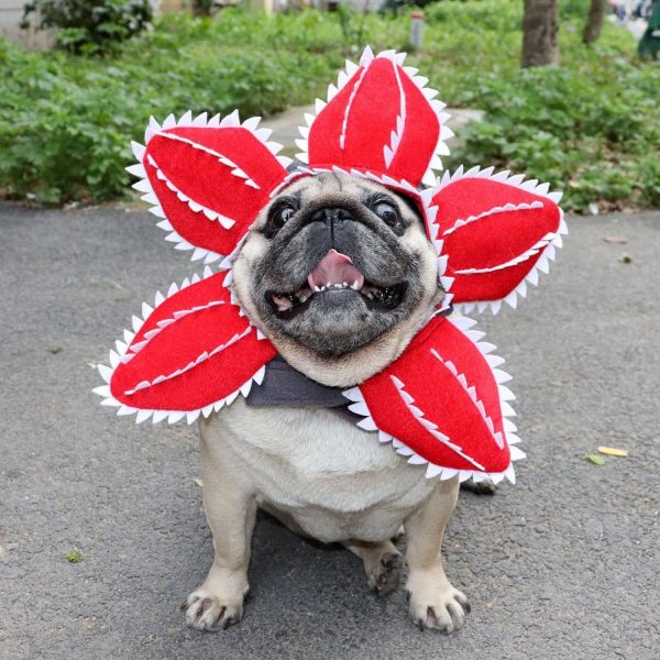 Demogorgon Stranger Things Accesorio para mascota