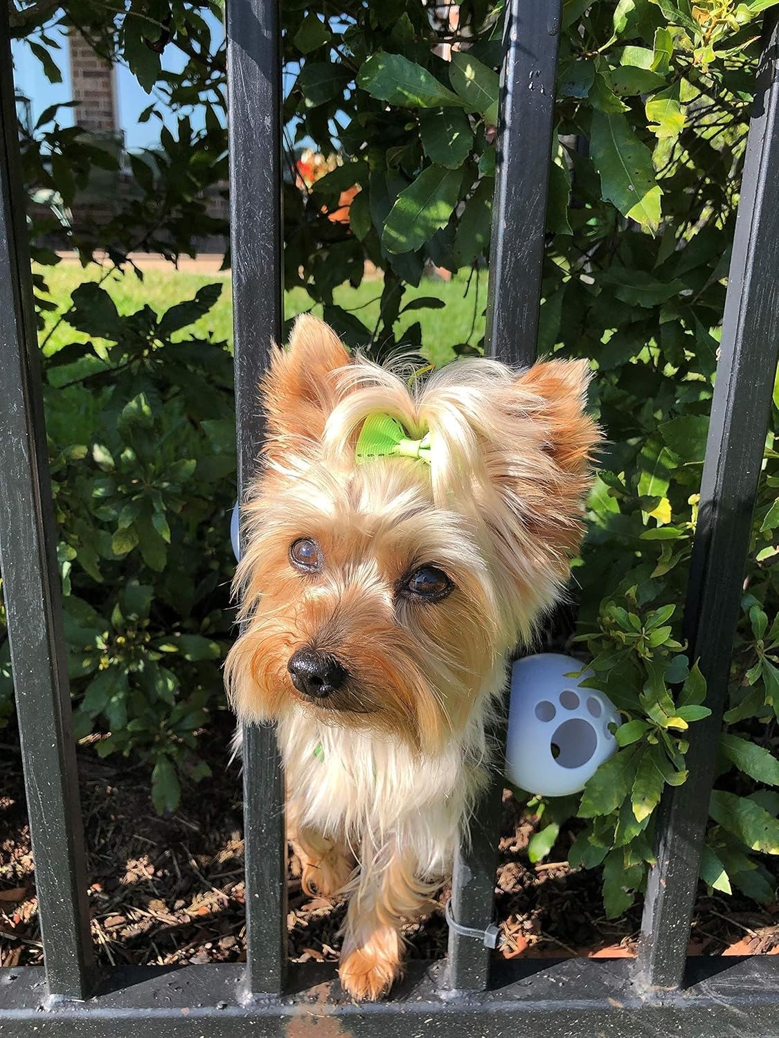 FenceMate Arnés para perro para mantener a tus mascotas en el lado seguro